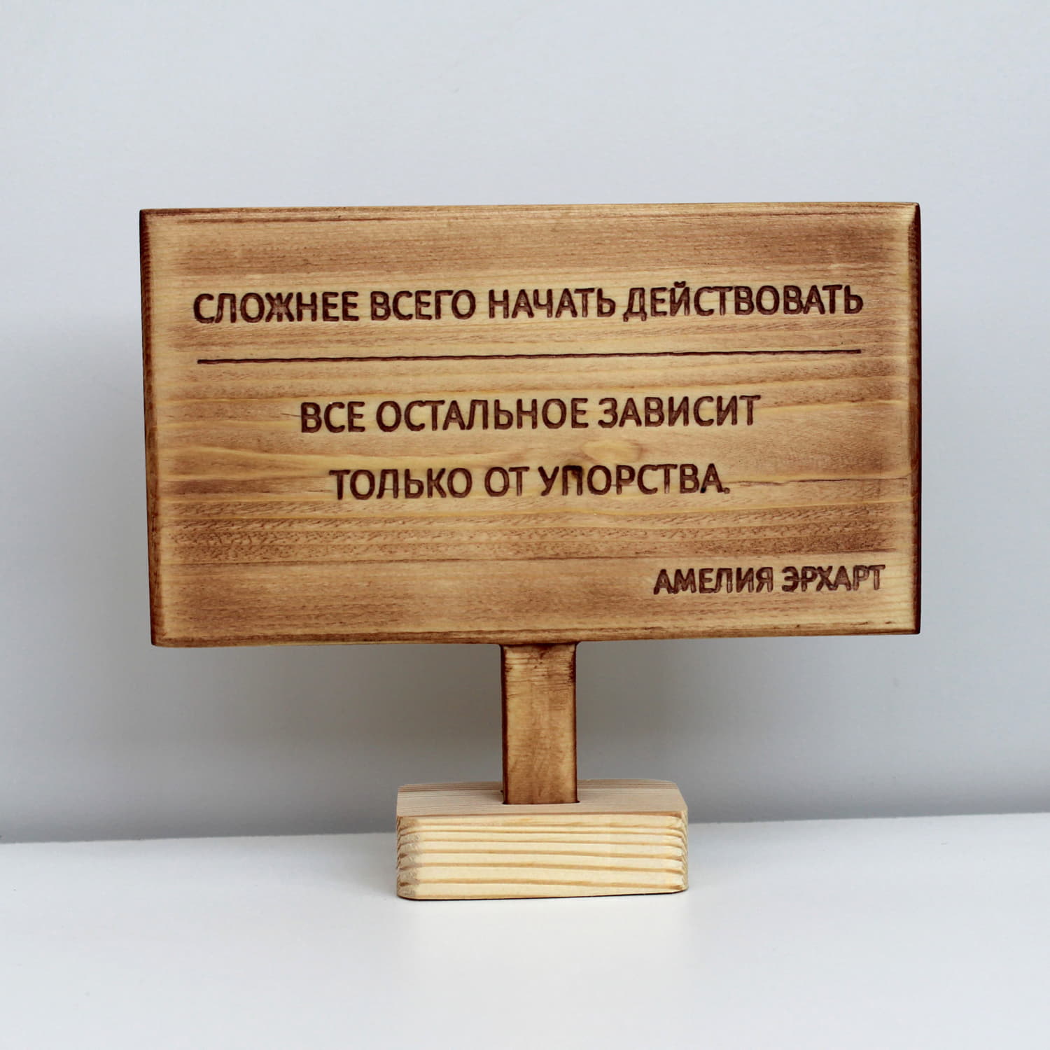 Цитата на дереве Амелии Эрхарт «Сложнее всего начать действовать, все остальное зависит только от упорства»