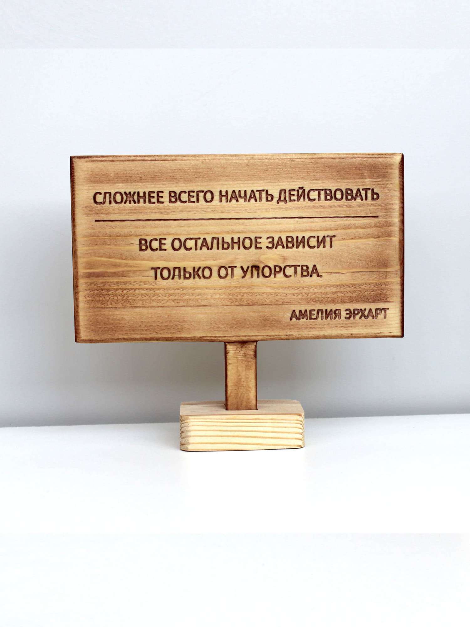 Цитата на дереве Амелии Эрхарт «Сложнее всего начать действовать, все остальное зависит только от упорства»