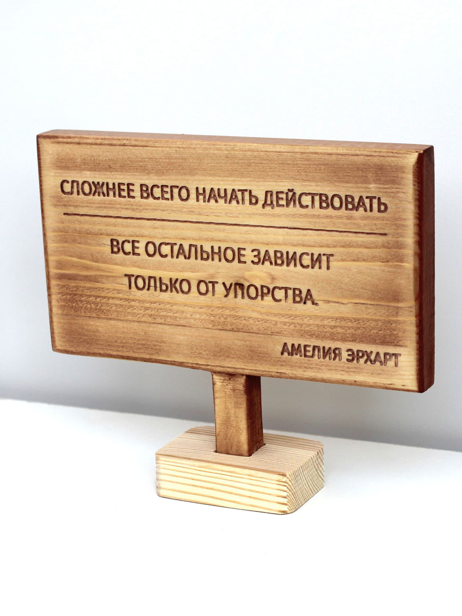 Цитата на дереве Амелии Эрхарт «Сложнее всего начать действовать, все остальное зависит только от упорства»